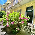 Coluccio Home 15
